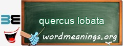 WordMeaning blackboard for quercus lobata